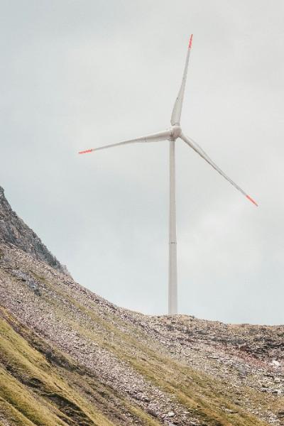 L'OCCUPATION DES SOLS EN ZONE MONTAGNEUSE DOIT-ELLE PROTÉGER LES ESPÈCES CARACTÉRISTIQUES ?