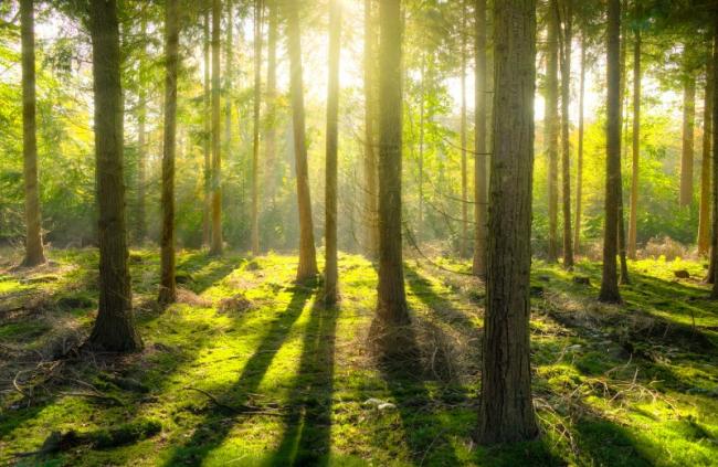 QUELLES SONT LES LIMITES À L'ACCÈS AUX INFORMATIONS EN MATIÈRE ENVIRONNEMENTALE ?