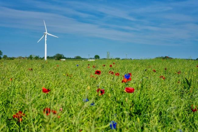 LE PREFET EST-IL TENU DE SUIVRE L'AVIS DEFAVORABLE D'UN PARC NATIONAL POUR UN PROJET EOLIEN ?