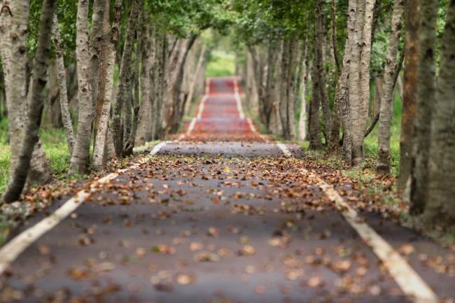 COMMENT UNE COMMUNE DELIMITE T'ELLE SON DOMAINE PUBLIC ROUTIER ?